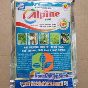 ALPINE-80WG-1