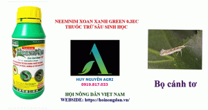 NEEMNIM-XOAN-XANH-GREEN-0.3EC