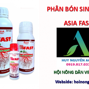 ASIA FAST