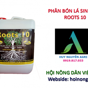 ROOTS 10